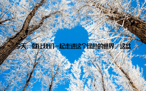 今天, 就让我们一起走进这个绿色的世界, 这盆价值连城的植物宝藏! 一、仙人指盆栽图片, 揭开神秘面纱让我们一起来欣赏一下这株令人叹为观止的仙人指盆栽图片