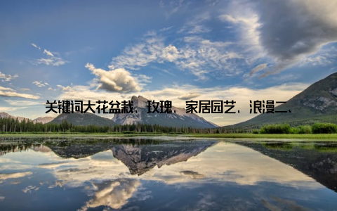 关键词大花盆栽, 玫瑰, 家居园艺, 浪漫二、清新茉莉, 清新家居茉莉花以其清新的香气和优雅的姿态, 成为了家居园艺的热门选择