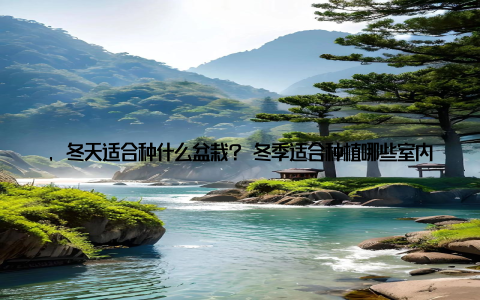 , 冬天适合种什么盆栽? 冬季适合种植哪些室内盆栽植物? 其实, 选择合适的室内盆栽, 让我们的家在寒冷的冬天也能充满生机