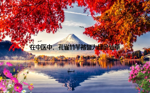 在中医中, 孔雀竹芋被誉为绿色仙草