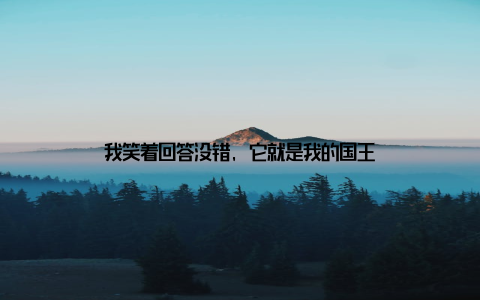 我笑着回答没错, 它就是我的国王