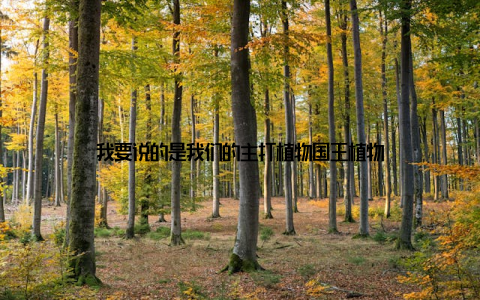 我要说的是我们的主打植物国王植物