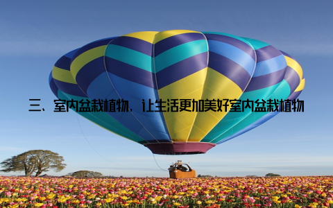 三、室内盆栽植物, 让生活更加美好室内盆栽植物不仅能美化家居, 还能为我们的生活带来诸多益处 净化空气室内盆栽植物能吸收有害气体, 释放氧气, 改善室内空气质量