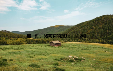 那一刻, 我被它的魅力深深吸引
