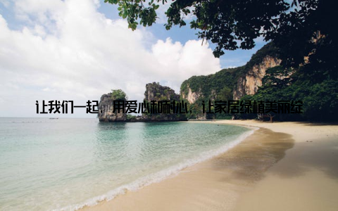 让我们一起, 用爱心和耐心, 让家居绿植美丽绽放吧! 我想说, 小玫瑰, 谢谢你陪伴我度过了这段美好的时光