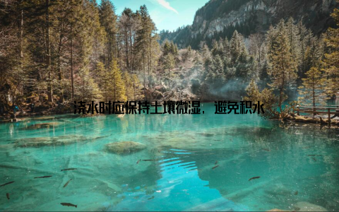 浇水时应保持土壤微湿, 避免积水