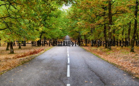 以下是一些养护小树盆栽的小贴士 选择合适的土壤小树盆栽适合生长在排水良好的土壤中, 可以选择泥炭土、腐叶土等