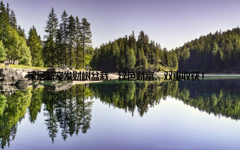 家居新宠发财树盆栽, 绿色财富, 双重收获! 在忙碌的生活中, 我们总是渴望找到一种方式, 既能净化家居环境, 又能提升生活品质