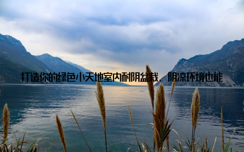 打造你的绿色小天地室内耐阴盆栽, 阴凉环境也能养好的植物大! 家, 是我们心灵的港湾, 而一盆生机勃勃的绿植, 无疑能为这个港湾增添一抹清新的色彩
