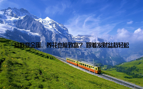 盆栽变金蛋, 养花也能致富? 跟着发财盆栽轻松开启你的财富之路! 在这个快节奏的时代, 年轻人总是梦想着找到一条既轻松又能赚钱的道路