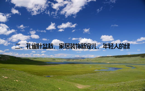 二、孔雀叶盆栽, 家居装饰新宠儿, 年轻人的绿色生活新选择近年来, 随着环保意识的增强, 越来越多的年轻人开始关注绿色生活