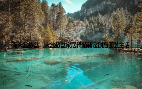 而大盆栽盆, 大盆栽盆家居绿植新宠创意园艺生活必备, 正是你打造绿色小窝的得力助手! 想象一下, 每天回到家中, 眼前一亮, 一盆盆绿植生机盎然, 不仅能净化空气, 还能让你的心情瞬间变得愉悦