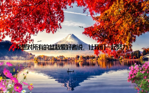 我想对所有的盆栽爱好者说, 让我们一起努力, 让这些小小的生命在寒冷的冬天也能绽放出美丽的花朵, 为我们带来无尽的温暖和快乐吧!