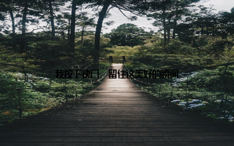 我按下快门, 留住这美好的瞬间