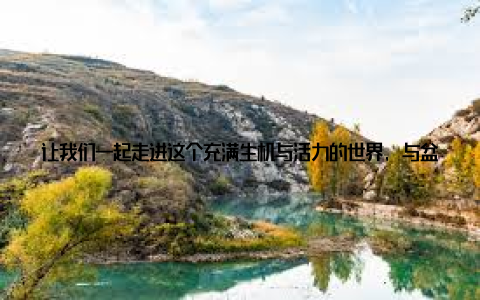 让我们一起走进这个充满生机与活力的世界, 与盆栽植物共度美好时光吧! 我想说, 养盆栽植物并不难, 只要我们用心去了解它们, 照顾它们, 它们一定会成为我们生活中的一道亮丽风景线