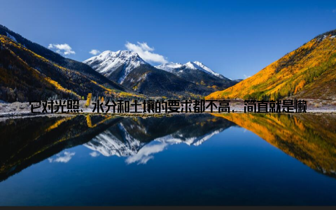 它对光照、水分和土壤的要求都不高, 简直就是懒人的福音! 那么, 养植达人为什么会推荐发财树盆栽居家养护轻松又简单呢? 接下来, 我们就来! 光照发财树对光照的要求并不高, 散射光就能满足其生长需求