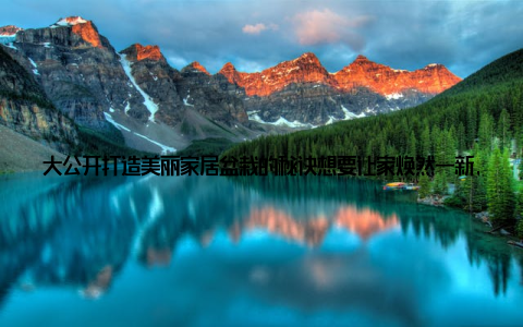 大公开打造美丽家居盆栽的秘诀想要让家焕然一新, 不妨试试以下这些小技巧 选择色彩搭配的盆栽, 让家居更具活力