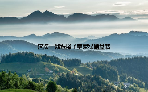 这次, 我选择了皇家绿植盆栽