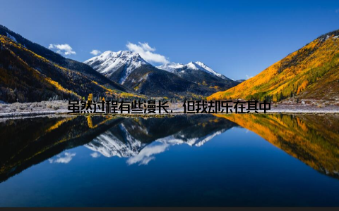 虽然过程有些漫长, 但我却乐在其中