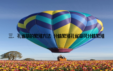 三、孔雀草的繁殖方法 分株繁殖孔雀草可分株繁殖, 将生长旺盛的枝条剪下, 插入沙床或盆土中, 保持土壤湿润, 待新芽长出后即可移栽