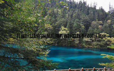 三、孔雀叶盆栽的家居应用孔雀叶盆栽不仅可以美化家居环境, 还能为我们的生活带来诸多益处 净化空气孔雀叶盆栽具有一定的空气净化能力, 可以有效去除室内有害物质