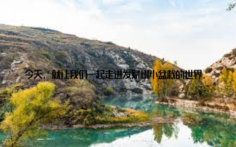 今天, 就让我们一起走进发财树小盆栽的世界, 看看它为何如此受到年轻人的喜爱, 又能为我们的生活带来哪些惊喜吧! 一、绿植新宠儿发财树小盆栽走红市场近年来, 随着人们对生活品质的追求, 室内植物逐渐成为家居装修的新宠