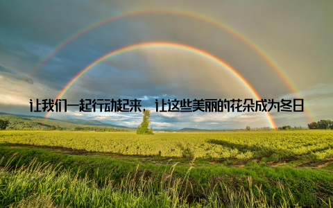 让我们一起行动起来, 让这些美丽的花朵成为冬日里的一抹温暖, 让生活更加美好! 冬季养护盆栽玫瑰, 让你的爱花绽放如春, 让浪漫无处不在!