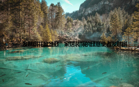 一、发财树花盆盆栽, 家居装饰的绿意使者发财树花盆盆栽, 顾名思义, 它是一款集观赏性与实用性于一体的家居装饰植物