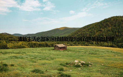 二、清新生活必备家居绿植新宠为何双色茉莉盆栽能成为家居绿植的新宠呢? 以下是其几个亮点 清新自然双色茉莉盆栽花朵美丽, 叶片翠绿, 给人一种清新自然的感觉, 能够为家居环境带来一股清新的气息