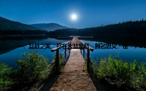 一、盆栽之美, 尽在大盆盆栽, 顾名思义, 是将植物栽种在盆中, 修剪、造型等方式, 使其成为一件艺术品