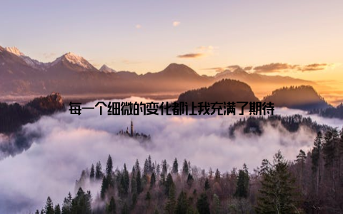 每一个细微的变化都让我充满了期待