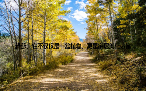 绿萝, 它不仅仅是一盆植物, 更是家居美化必备的神器, 让我们一起来感受大盆栽绿萝带来的绿意盎然, 让家焕发新生! 绿萝, 家居绿化的软装大师大盆栽绿萝, 大盆栽绿萝绿意盎然家居美化必备神器, 这句话道出了绿萝在家居装饰中的重要性