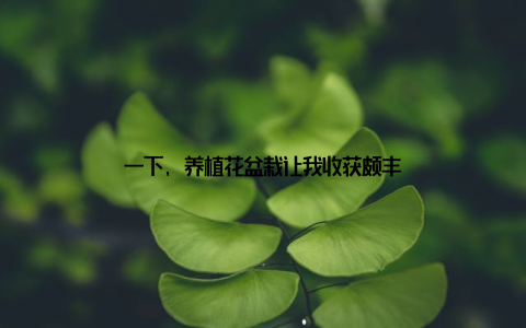 一下, 养植花盆栽让我收获颇丰
