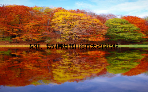 起初, 我对养盆栽并没有太多的经验