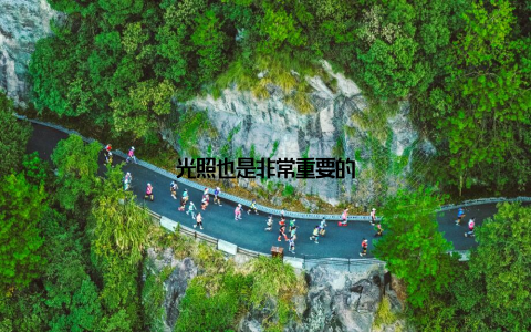 光照也是非常重要的