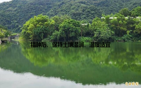 播种后, 保持土壤湿润, 温度适宜
