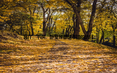 客厅、书房、卧室等都是不错的选择