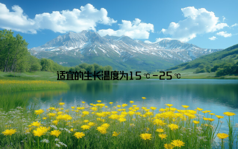 适宜的生长温度为15℃-25℃
