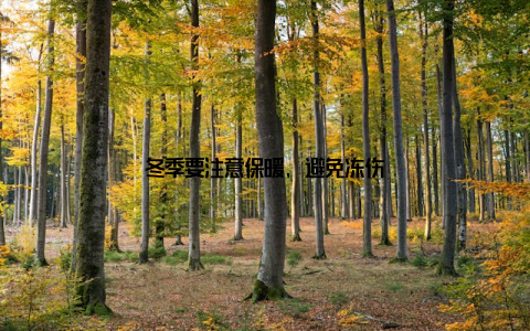 冬季要注意保暖, 避免冻伤