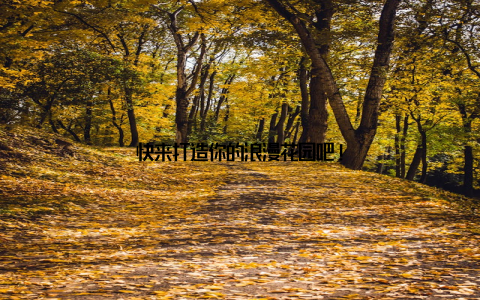 快来打造你的浪漫花园吧!