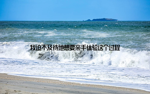 我迫不及待地想要亲手体验这个过程