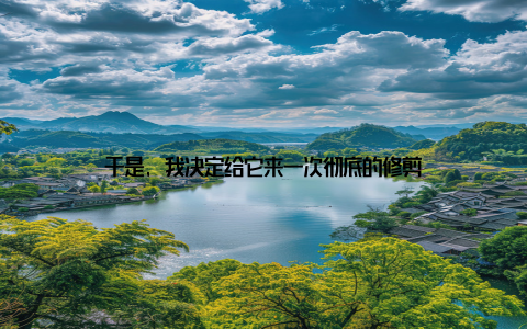 于是, 我决定给它来一次彻底的修剪