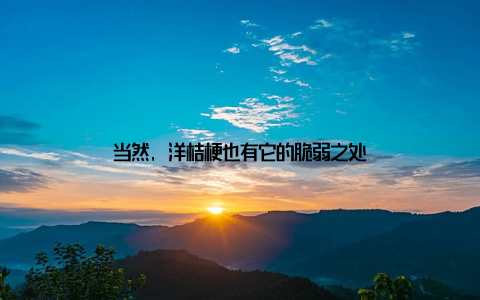 当然, 洋桔梗也有它的脆弱之处