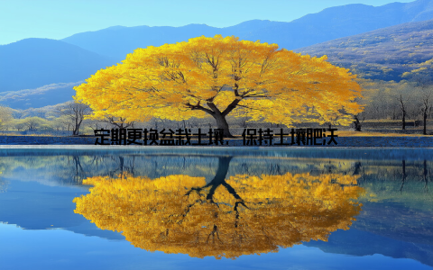 定期更换盆栽土壤, 保持土壤肥沃