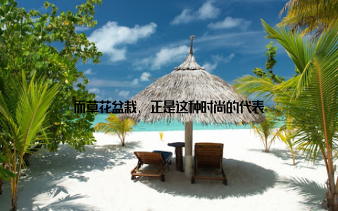 而草花盆栽, 正是这种时尚的代表