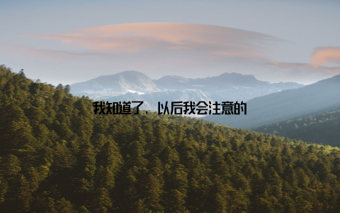 我知道了, 以后我会注意的
