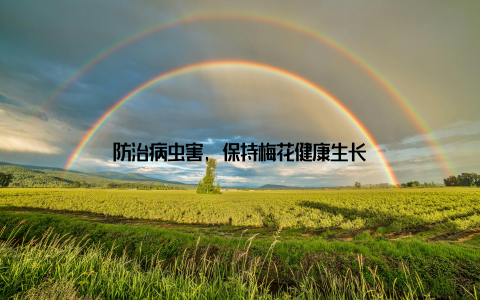 防治病虫害, 保持梅花健康生长