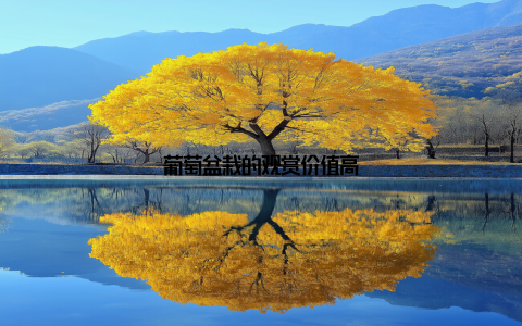 葡萄盆栽的观赏价值高