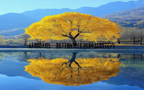 从那以后, 我开始关注各种盆栽花卉