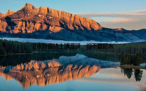 2水分保持土壤湿润, 但不要积水